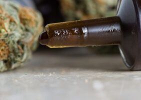 Rick Simpson Cannabis Oil (RSO)