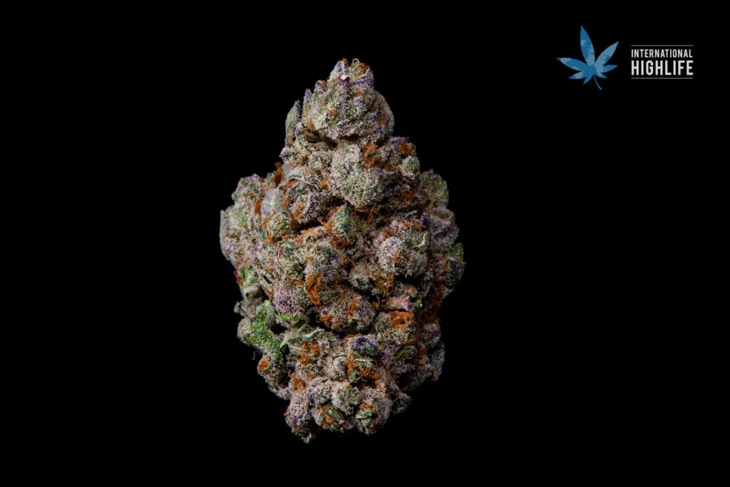Blue Dream Strain - The 10 Best Cannabis Strains For Chronic Pain Relief