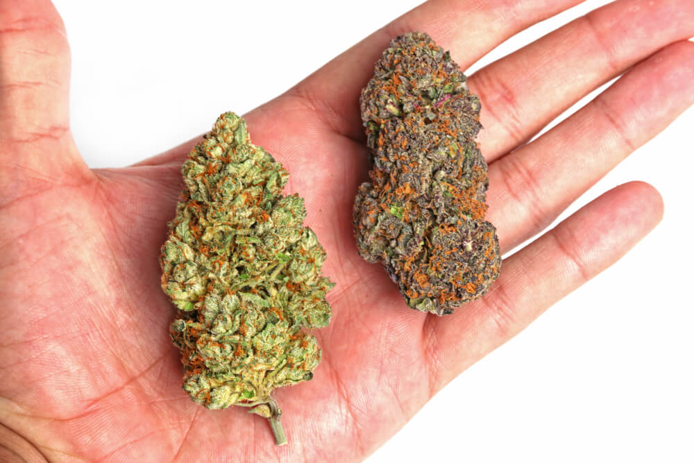 Cannabis Tolerance - Try Different Strains