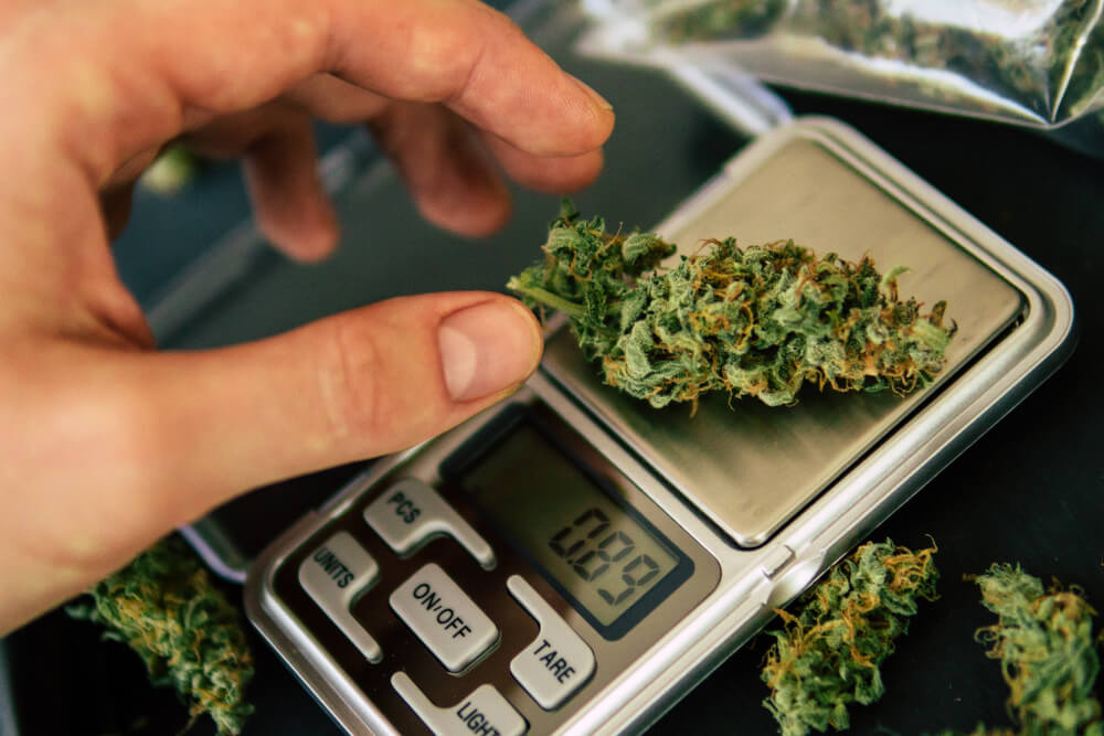 Scale How Much Weed Is In An Ounce
