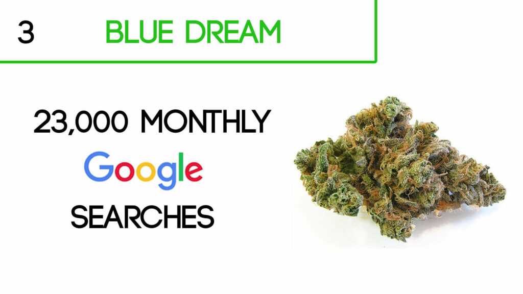 Blue Dream Cannabis Strain
