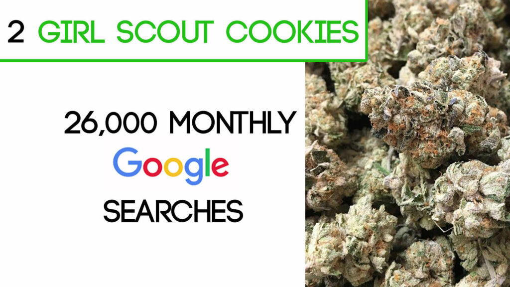 Girl Scout Cookies Cannabis Strain