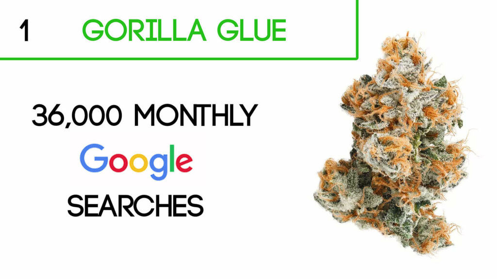 Gorilla Glue Cannabis Strain