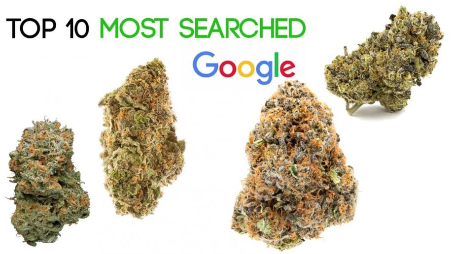 Most Searched Weed Strains