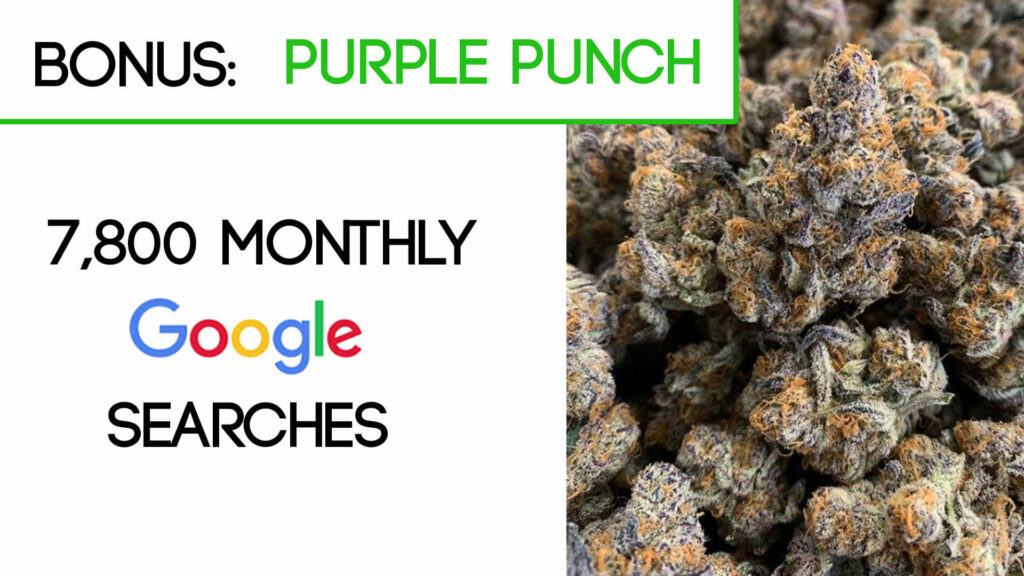 Purple Punch Cannabis Strain