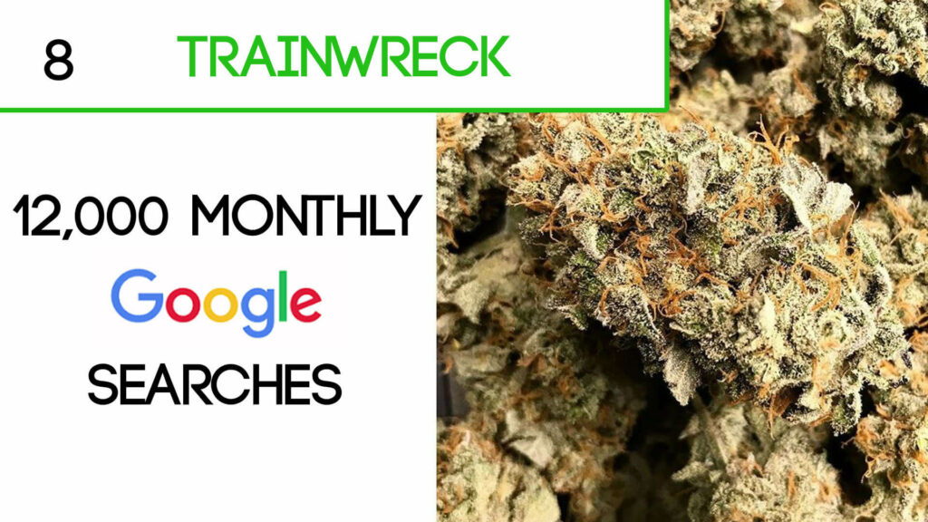 Trainwreck Cannabis Strain