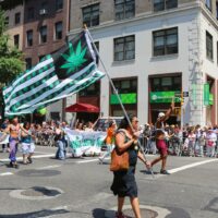 New York Legalized Cannabis