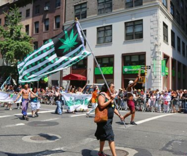 New York Legalized Cannabis