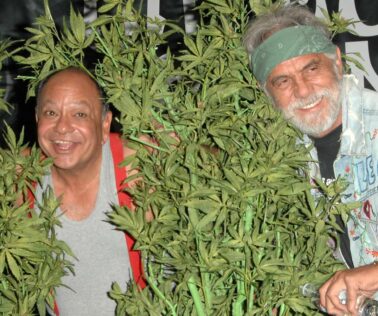 Cheech Marin and Tommy Chong peek out from cannabis plants