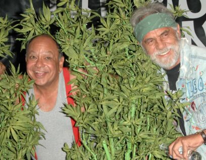 Cheech Marin and Tommy Chong peek out from cannabis plants