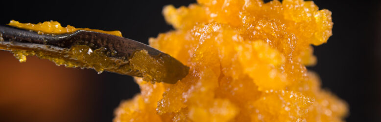 High THC cannabis concentrate on a dip stick