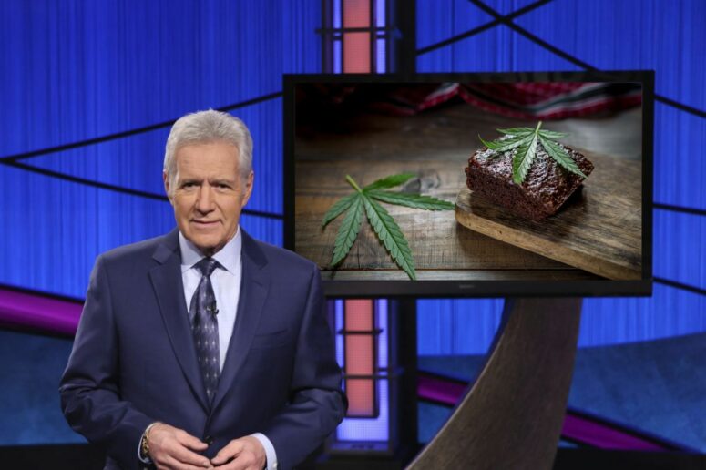 Jeopardy Host Alex Trebek said he once spent three entire days high on hash brownies.