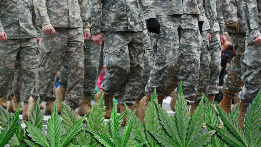 Military members overlaid with cannabis leafs