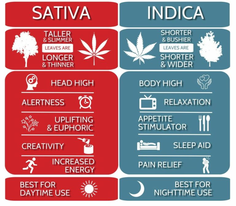 Sativa vs Indica Myth