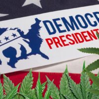 Democrats cannabis legalization party platform
