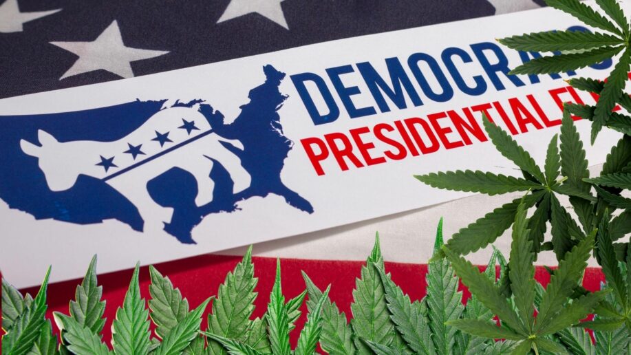 Democrats cannabis legalization party platform