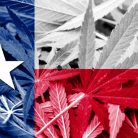 Texas State Flag on cannabis background. Drug policy. Legalization of marijuana