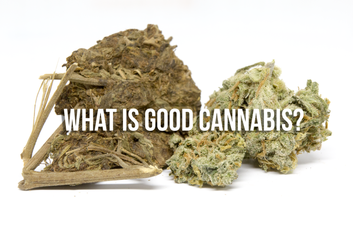 Good Weed VS Bad Weed - How To Evaluate Cannabis Quality