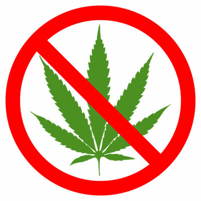 Cannabis Tolerance Taking A Break