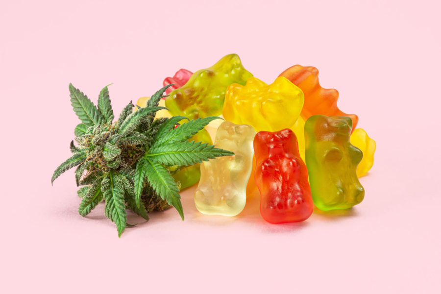 cannabis-gummy-bears