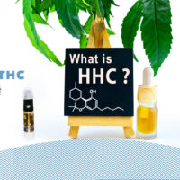 HHC VS THC Cannabinoids explained