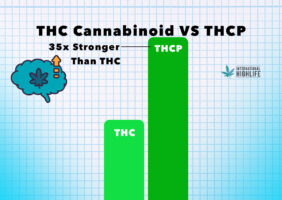 THCP Cannabinoid VS thc