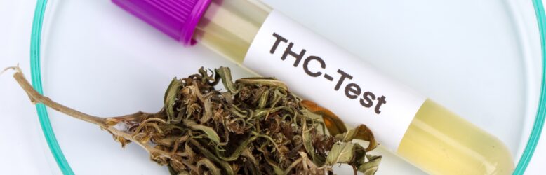 Removing THC from your system