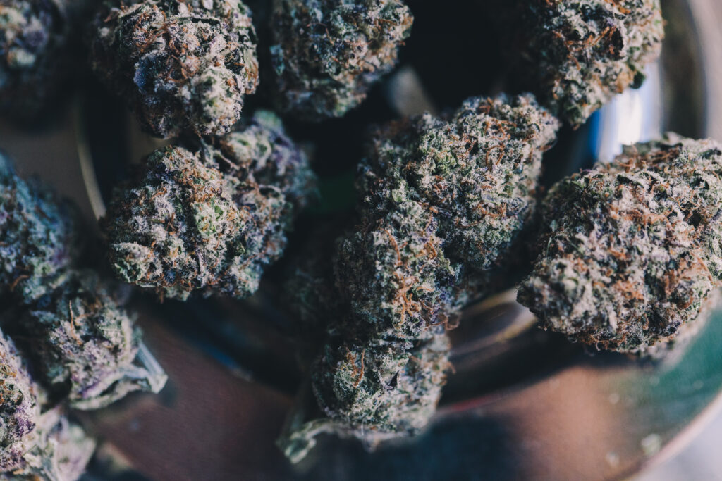 Premium cannabis flower showcasing colorful buds and exotic genetics, representing some of the craziest and most famous cannabis strain names in weed culture.