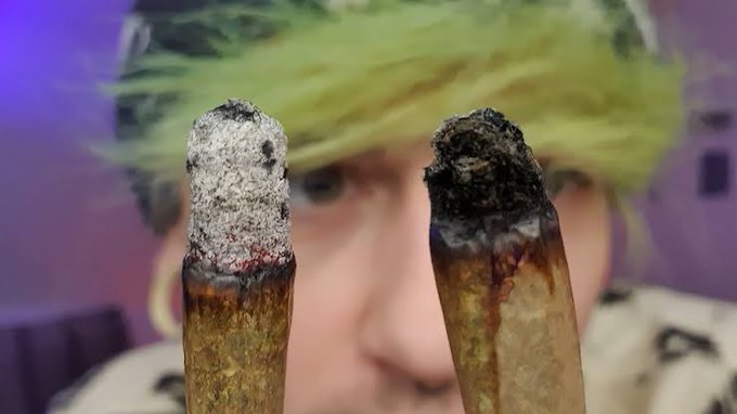 white-ash-vs-black-ash