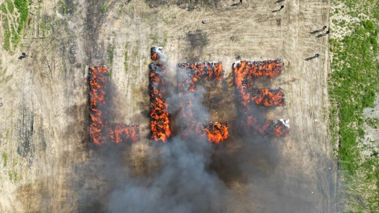 Authorities Torch 20 Tons Of Cannabis – Get The Whole Town High