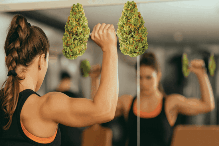 People Think Cannabis Makes You Lazy. Data Shows Users Train More