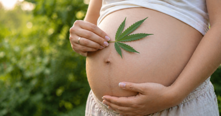 Study: Cannabis in Pregnancy Shows No Lasting Cognitive Impact